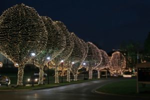 Trees wrapped in holiday lights and street lamps line a dark, winding road.