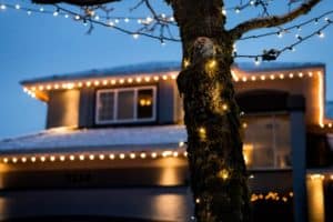 Warm white lights line a house’s roof and wrap a tree in the yard at dusk.