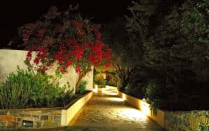 An illuminated stone pathway winds past red flowers and greenery at night.