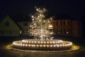 A bare tree is brightly lit with Christmas lights in a circular brick planter, standing in front of a large house. The Christmas light installation creates a festive holiday scene.