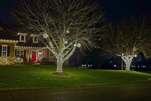 White Christmas lights wrap two leafless trees in front of a house with a red front door.