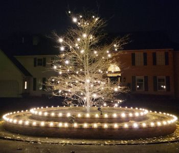 White Christmas lights decorate a bare tree and the circular brick planter surrounding it.