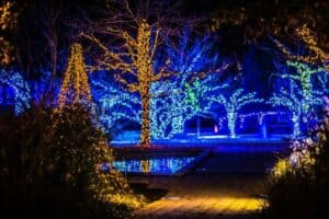 Trees adorned with vibrant commercial Christmas lighting in gold and blue illuminate a tranquil garden at night, reflecting in a small pool. A brick path leads through the festive scene.
