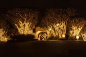 Trees wrapped in warm white lights create a magical, festive atmosphere in this commercial Christmas lighting display. The lights illuminate the architecture and landscaping, enhancing the nighttime ambiance.