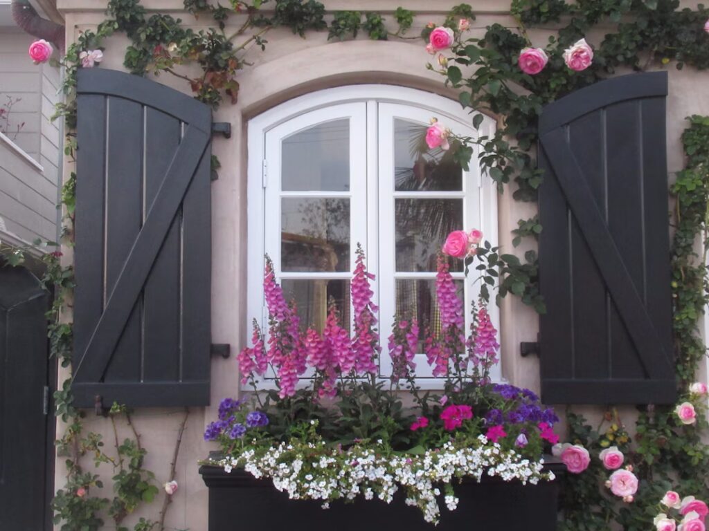 Charming window box overflowing with pink foxgloves, white alyssum, and purple petunias beneath a white arched window with black shutters, roses climbing the stucco wall. A beautiful DIY home window box installation.