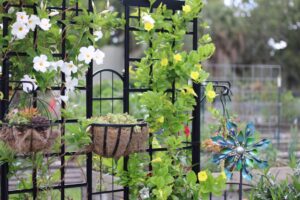 A black garden trellis adorned with white and yellow flowering vines, and hanging succulent baskets. A colorful metal flower adds charm to this custom home garden trellis design.