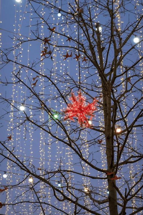 Bare winter tree decorated with a vibrant red star ornament and twinkling Christmas lights against a dusky blue sky. A festive, slightly abstract image related to holiday fire safety.