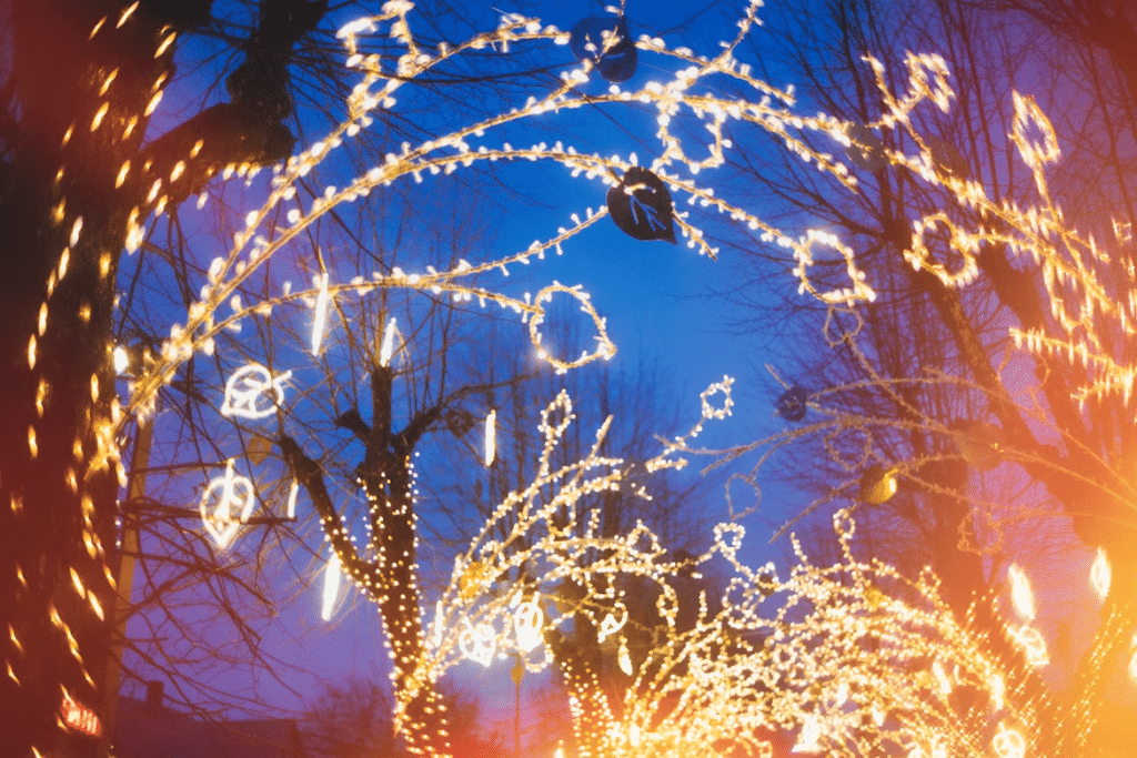 Christmas lights archway glows warmly against the blue twilight sky, decorating trees with festive light strings and ornaments, relevant to the blog content "Can Christmas Lights Cause a Fire?
