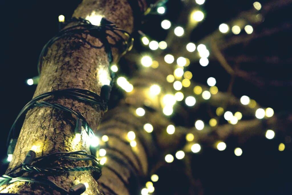 Christmas lights wrapped around a tree trunk, illuminated against a dark night, showcasing a method for how to store Christmas lights without the tangle.
