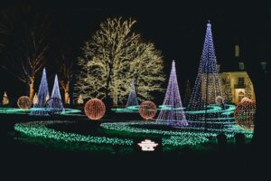 An outdoor Christmas display features illuminated trees, tall light cones and glowing spheres surrounded by green lights.